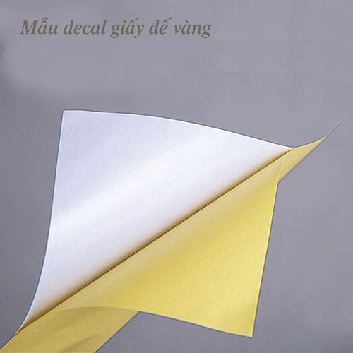 Tem decal giấy